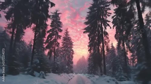 Forest landscape with snow covered road and vibrant pink sunset sky
