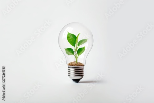 eco lamp with green sprout on white background