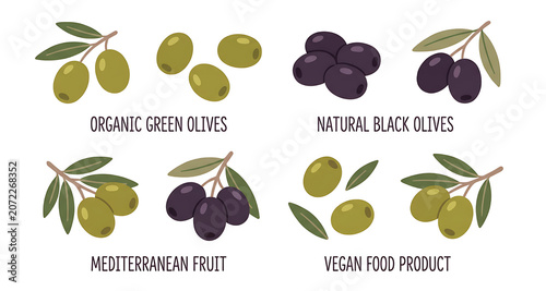 Hand drawn set of green and black olives with branches and leaves, flat vector illustration