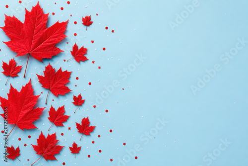banner for canada day with place for text, red maple leaves on a light blue  background with copy space