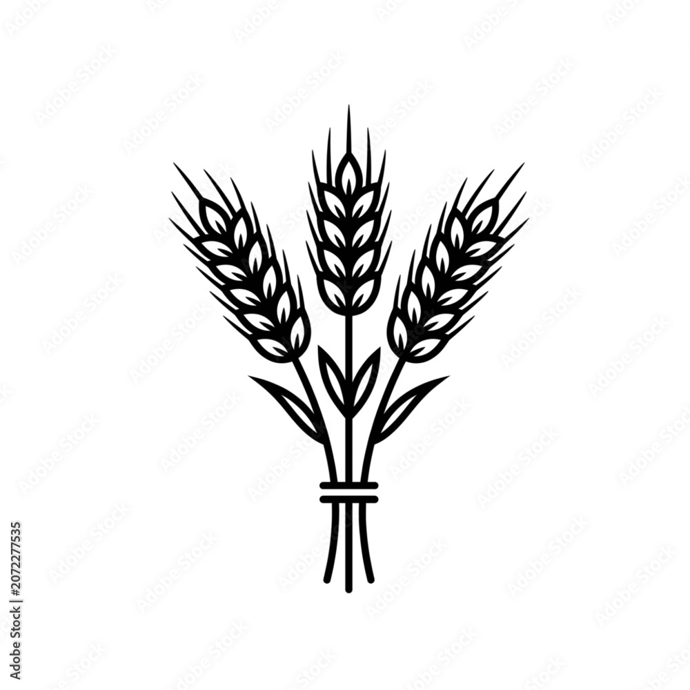 Fototapeta premium Wheat stalks tied together in a neat bundle stand vertically as a traditional agrarian symbol representing a bountiful harvest and agricultural productivity in this clean black and white illustration.