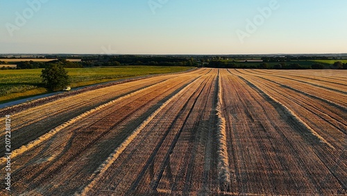 Fotografia Drone view of harvested wheat fields at sunset near Baracs