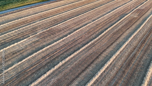 Canvastavla Drone view of harvested wheat fields at sunset near Baracs