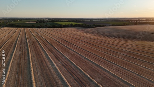 Billede på lærred Drone view of harvested wheat fields at sunset near Baracs