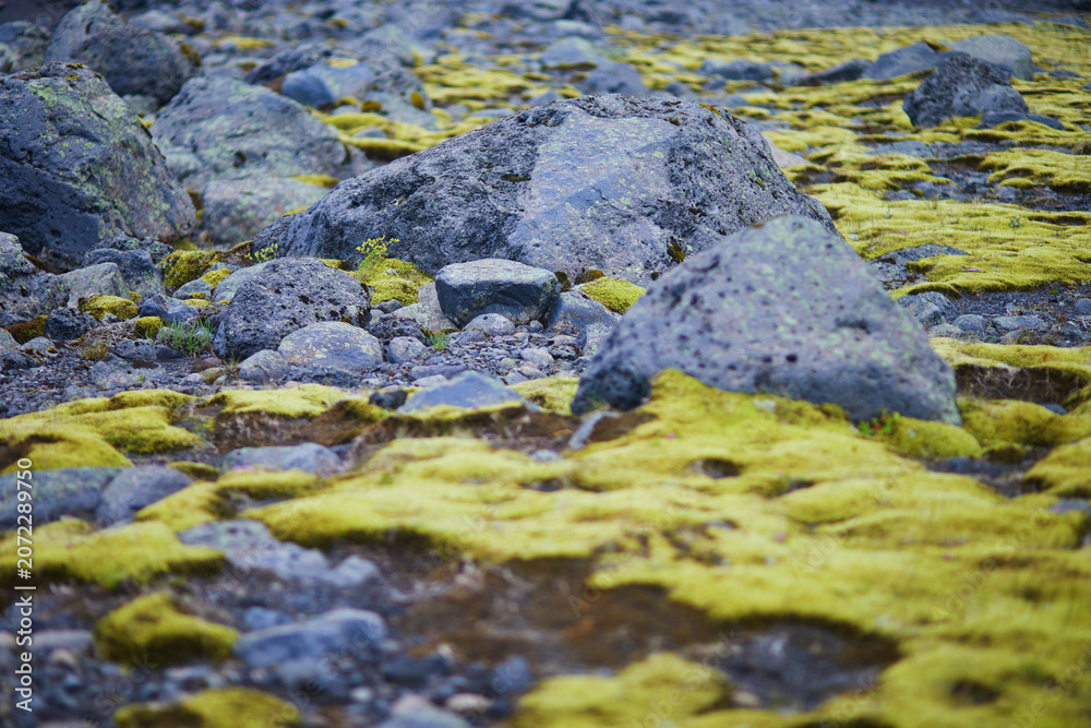 Fototapeta premium Majestic summer landscapes with cliffs and fields in Southern Iceland.