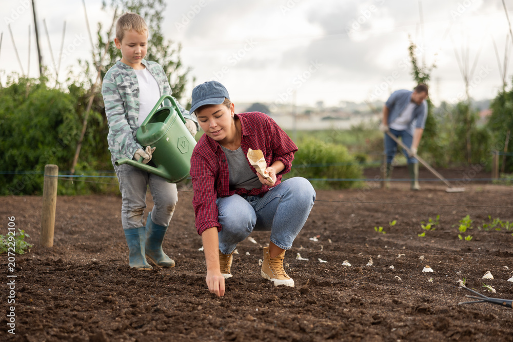 Obraz premium Farmer woman and her son plant seeds and garlic on the farm. Planting farm vegetables