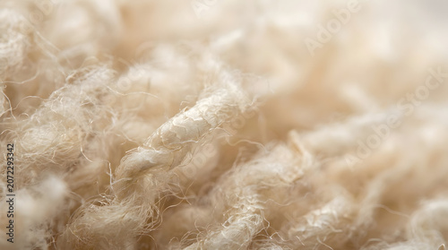 Macro Texture of Raw Natural Cream Colored Wool Fibers, Soft Sheep Wool Background for Textile and Fashion Industry, Organic Fiber Details and Tangled Material