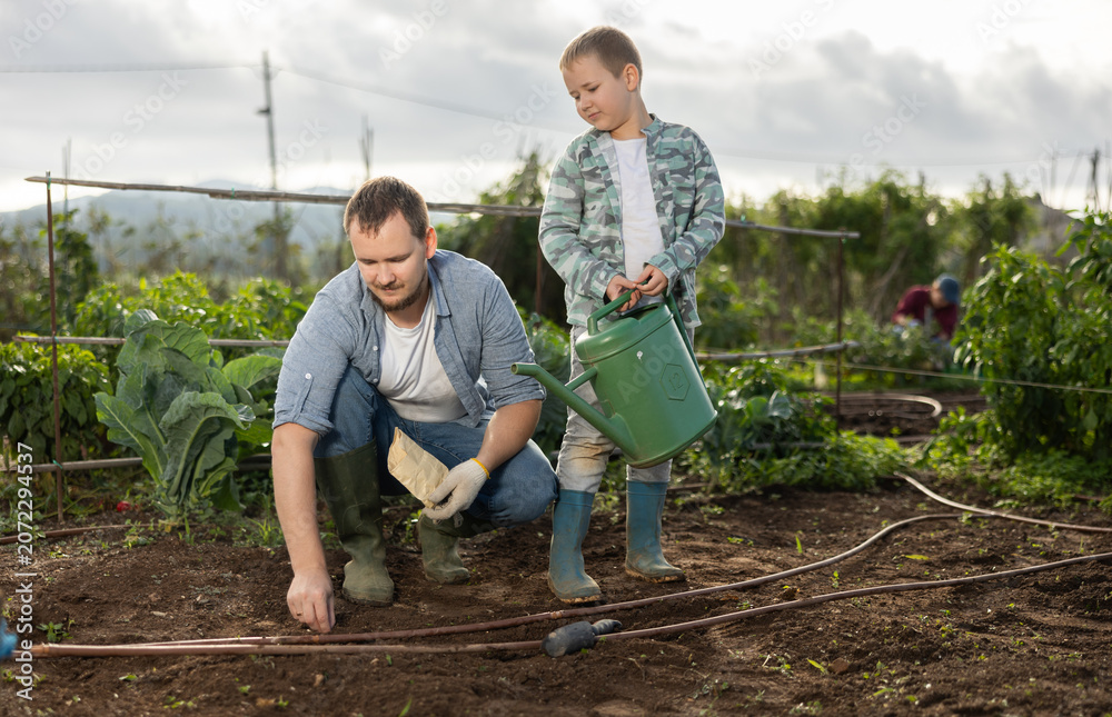Obraz premium Farmer with son plant semen in cultivated land. Process of growing organically healthy vegetables and herbs on the farm. Season for planting seeds in the garden
