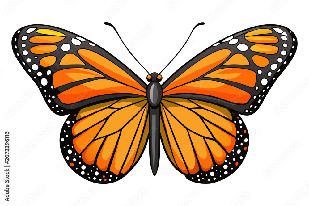 Fototapeta premium Elegant Butterfly Silhouette Illustration Decorative Insect Line Art Vector Design