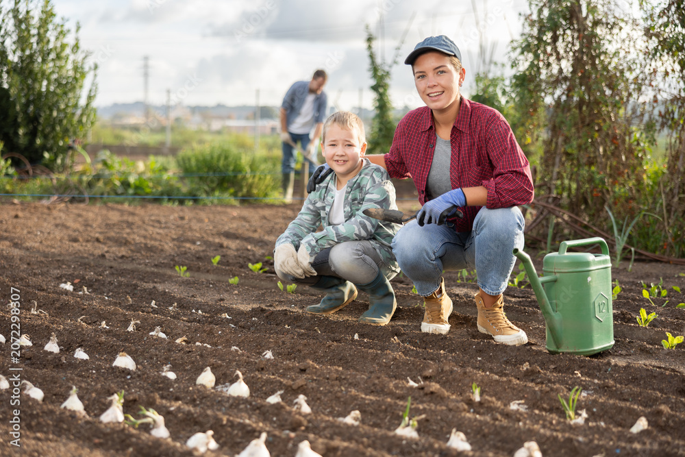 Obraz premium Farmer woman and her son plant seeds and garlic on the farm. Planting farm vegetables