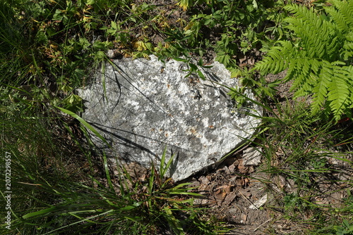 Photography Stone in the ground