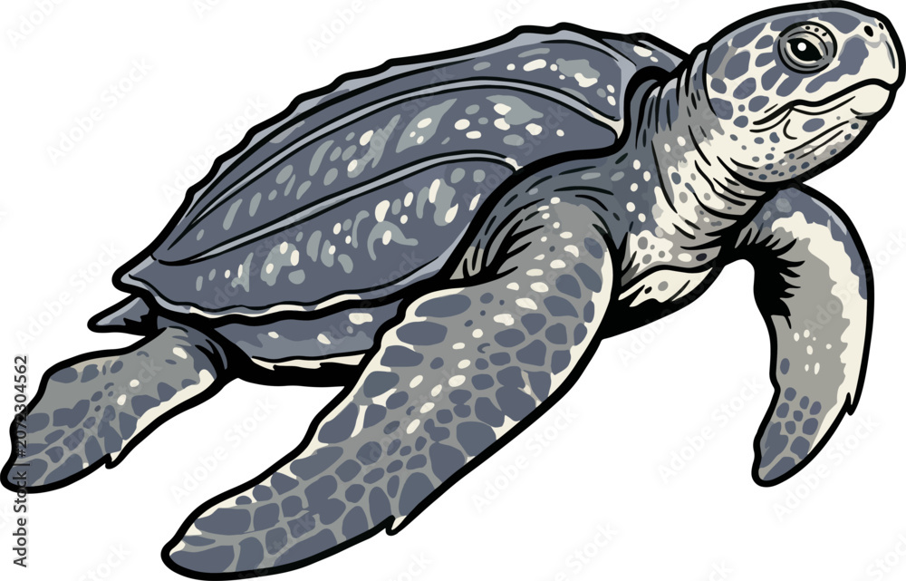 Fototapeta premium leather back sea turtle vector illustration isolated on white background
