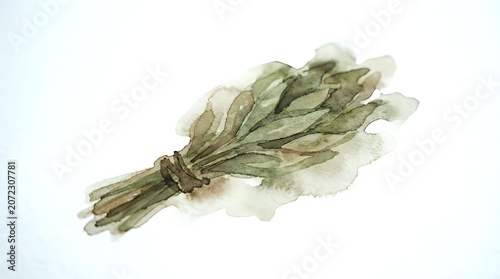 Dried herb bundle tied with twine on white background, isolated botanical element for culinary, wellness, and design projects.