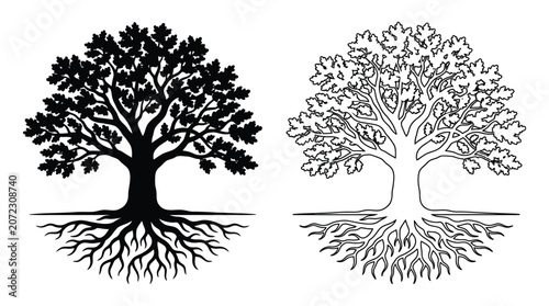 Tableau sur toile Oak Tree Silhouette With Roots Black And White Line Art