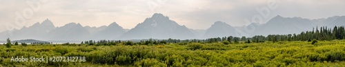 Foto Panorama In Willow Flats And The Grand Teton Range