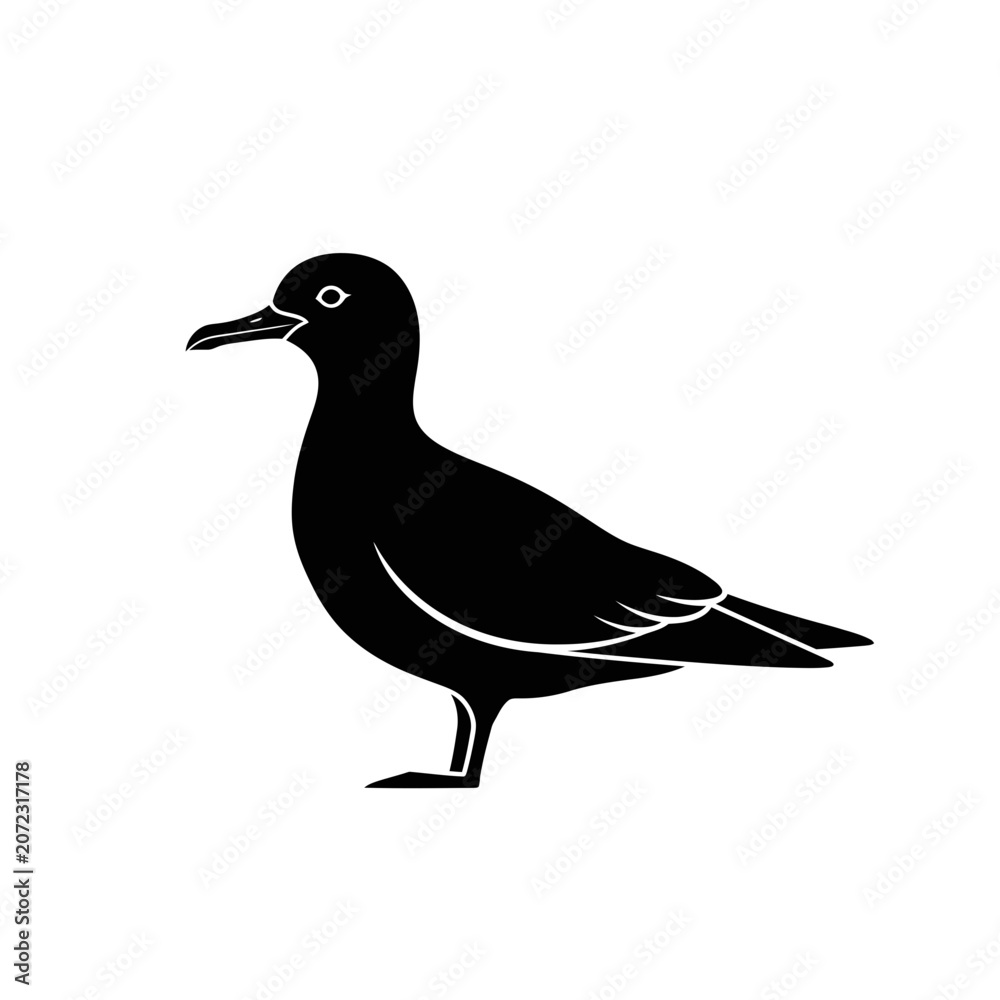 Obraz premium Black Silhouette of a Seagull Bird Standing Icon