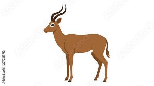 Quadro em tela Brown impala antelope standing isolated on white background.