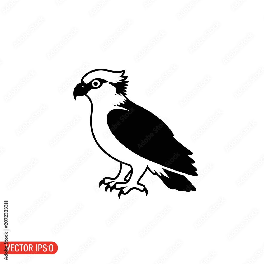 Fototapeta premium Osprey Bird Silhouette Vector Illustration