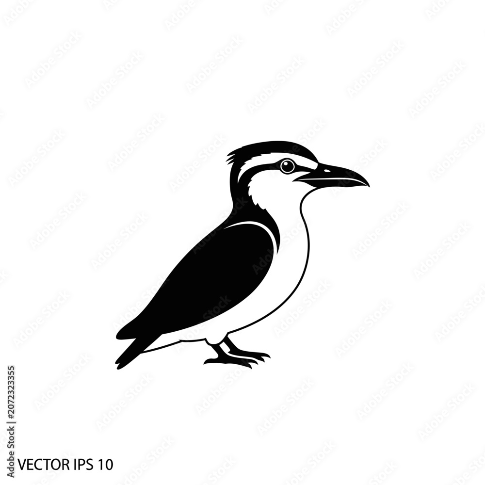 Fototapeta premium Kookaburra Bird Silhouette, Australian Wildlife Illustration