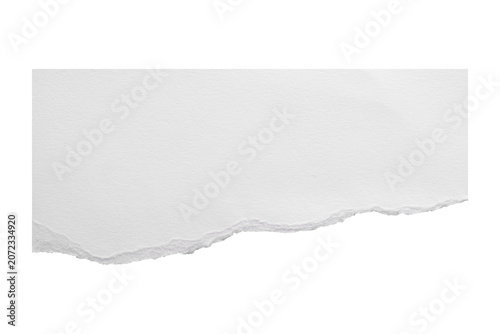 Schilderij op canvas Landscape white torn paper sheet with rising ripped bottom edge on transparent b