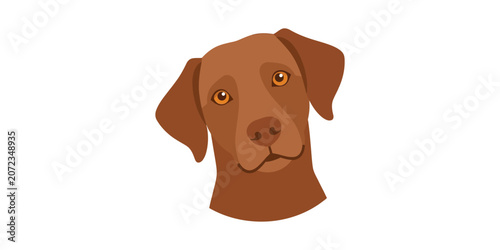 Brown dog head illustration for pet or animal designs