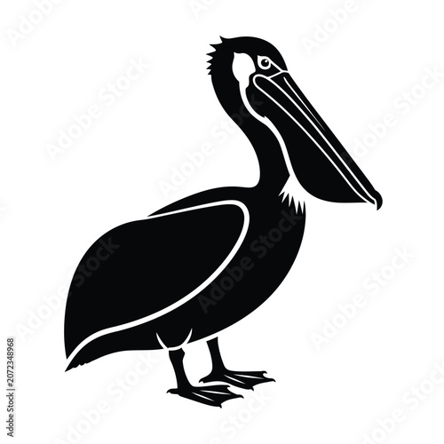 Black Silhouette of a Pelican Bird.