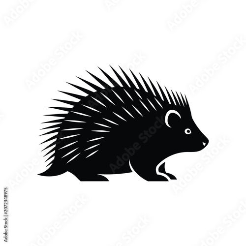 Black Silhouette of a Porcupine Walking.