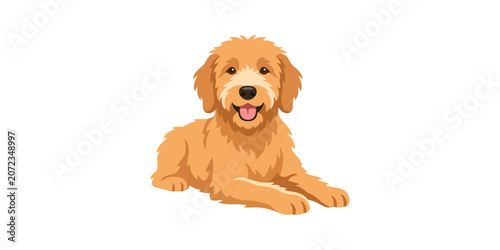 Friendly golden doodle dog cartoon illustration for pet business