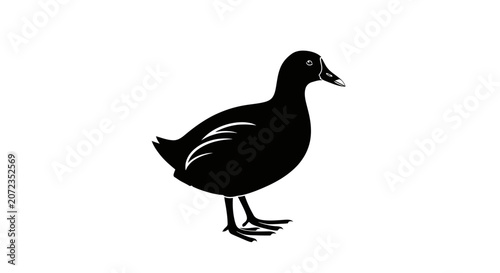 Cuadro en lienzo Black silhouette of a duck standing on a white background, simple graphic illustration