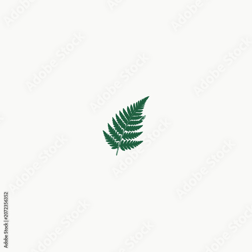 Elegant Green Fern Frond With Detailed Pinnules And A Delicate Translucent Insect Wing Perched Near Its Apex On Soft Paper Textured Backdrop Vector Illustration