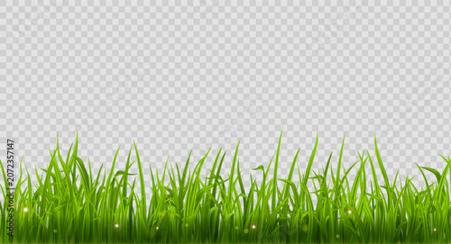 Green grass border flat style design. Cartoon summer green grass nature landscape field. Vector illustration