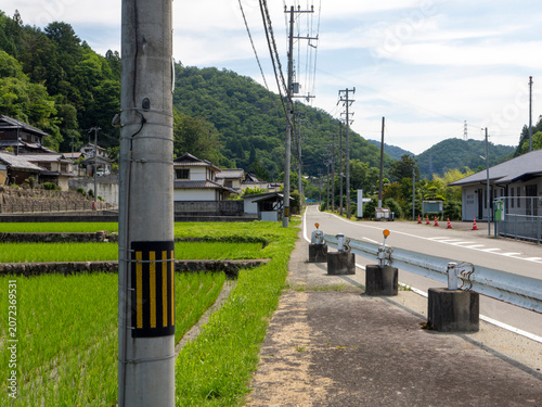 山間を通る道路と水田の風景