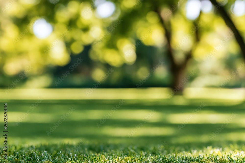Fototapeta premium Grass lawn in a sunny park with green nature bokeh and blurred summer meadow field