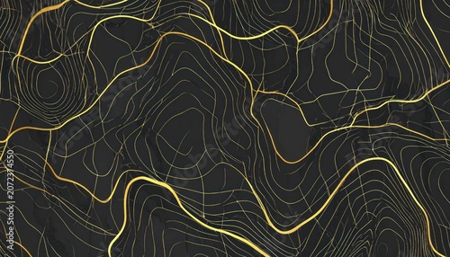 Abstract gold topographic map lines on dark background.