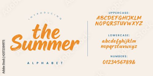 The Summer warm summer vibe dry brush script font for tropical and lifestyle design projects