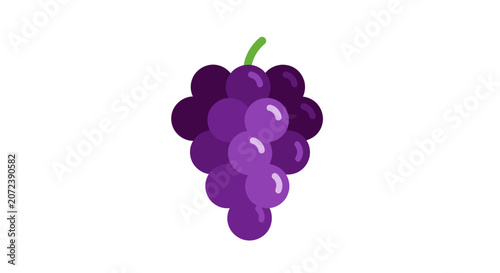 Fotografie Purple bunch of grapes icon.