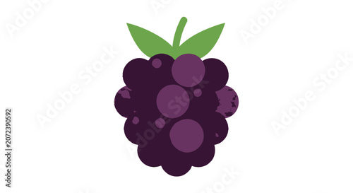 Quadro su tela Purple blackberry vector illustration with bumpy texture.