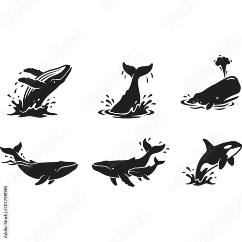 Photos Whale Silhouette Collection: Jumping, Swimming, and Spouting Orca and Humpback
