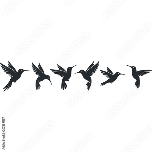 Tableau sur toile Hummingbird Silhouettes Collection: Flying Birds in Motion