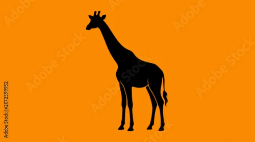 Obraz Black silhouette of a giraffe.