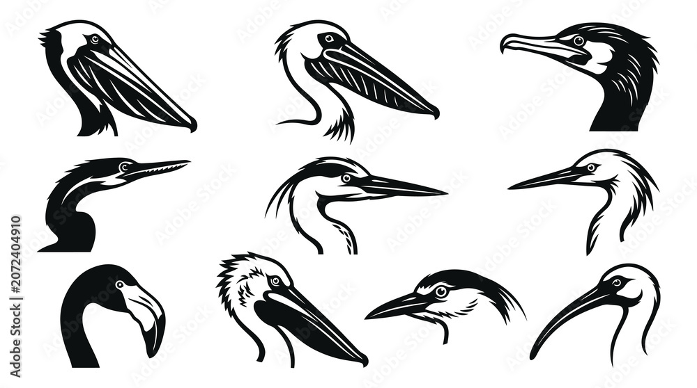 Obraz premium Black and White Line Art Collection of Bird Heads, Vector Graphics