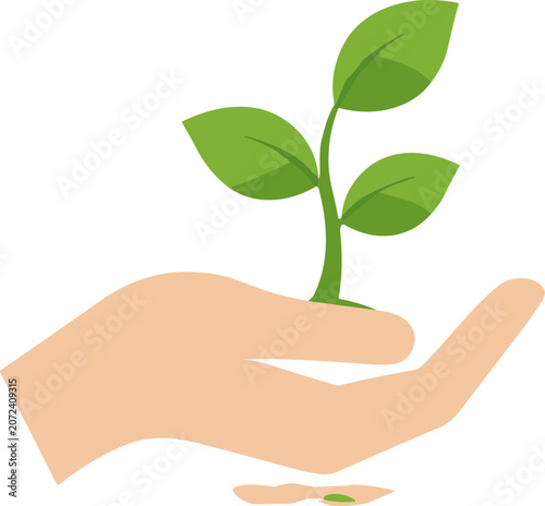 Hand holding a green seedling, concept of growth, new beginnings, and care