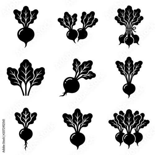 Collection of simple black silhouette beetroot icons isolated on white background vector