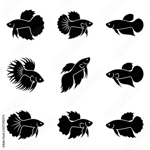 Set of Elegant Betta Fish Silhouette Icons Featuring Diverse Fin Shapes for Aquatic Graphic Projects