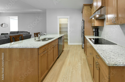 Modern residential luxury kitchen interior