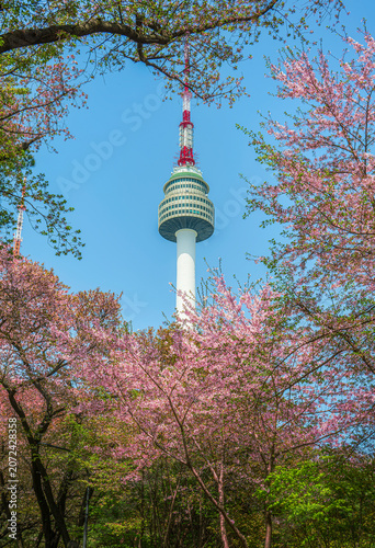 Obraz na plátně N Seoul Tower is a Seoul landmark that tourists must visit