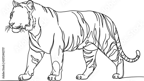 Photography Tiger Outline Drawing - Majestic Feline Silhouette Isolated on White