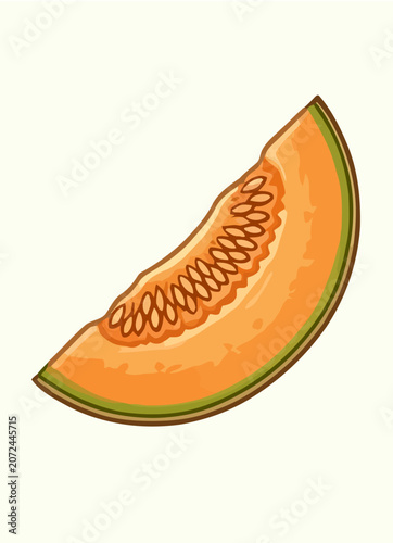 Cantaloupe Melon Fruit Botanical Illustration Set with Whole Fruit and Sliced Sections