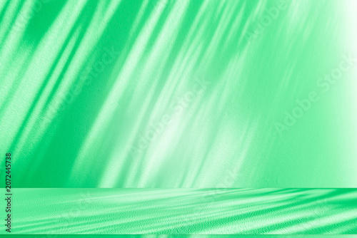 Konstfotografi Wall interior background, studio and backdrops show products