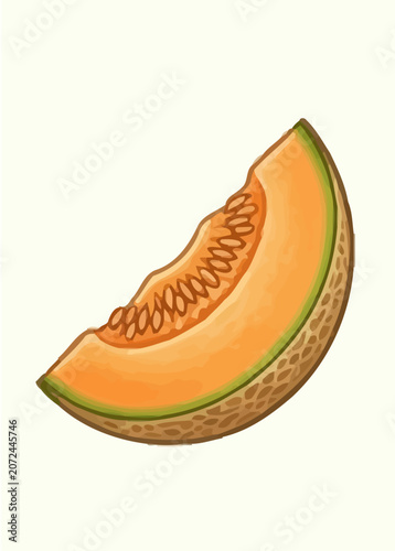 Cantaloupe Melon Fruit Botanical Illustration Set with Whole Fruit and Sliced Sections